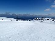 Piste d'entraînement au Wintergarden Platter
