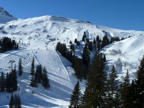 Diversité des pistes Massif du Bregenzerwald – Diversité des pistes Damüls Mellau