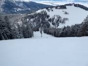 Piste difficile Beaver Dick's