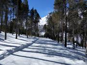 Descente vers la vallée piste de retour