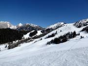 Vue sur les pistes dans la partie supérieure du domaine skiable