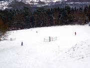 La large pente principale offre différentes variantes.