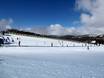 Domaines skiables pour les débutants dans les Alpes australiennes  – Débutants Falls Creek