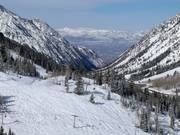 Domaine skiable Snowbird dans le Little Cottonwood Canyon
