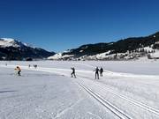 Pistes de ski de fond dans la vallée de Tannheim