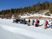 Calèche à la fin de la piste n° 1 Armentarola