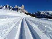 Piste de ski de fond d'altitude parfaitement préparée au col de Rolle