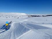 Piste de liaison facile Rypestien