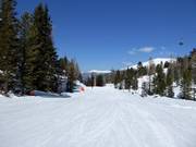 Piste facile Märchenwald-Abfahrt