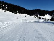 Piste familiale facile