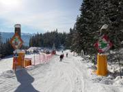Descente féerique du Rittisberg
