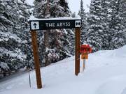 Terrain ouvert pour les professionnels