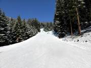 Descente jusqu'à la vallée vers Kappl