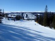 Piste facile Nybegynnerbakken