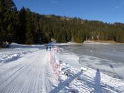 Piste Vivaio