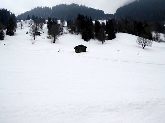 Vue sur la piste facile à Saxeten