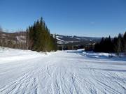 Piste intermédiaire n° 15