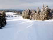 Pistes sur deux niveaux au départ du Sahnehang
