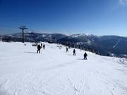 Vue depuis le Medvědín sur les Monts des Géants