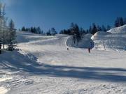 Larges pistes au Großsee
