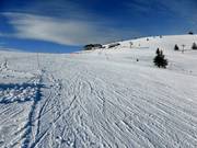 Petite descente Belchen