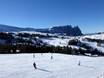 Catinaccio (Rosengarten): Taille des domaines skiables – Taille Seiser Alm (Alpe di Siusi)