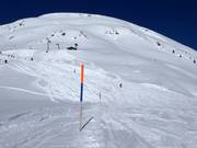 Délimitations détaillées des pistes