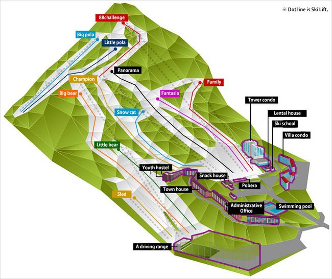 Bears Town Bears Town