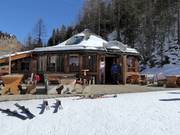 Chalet de restauration recommandé : Pisten Pub