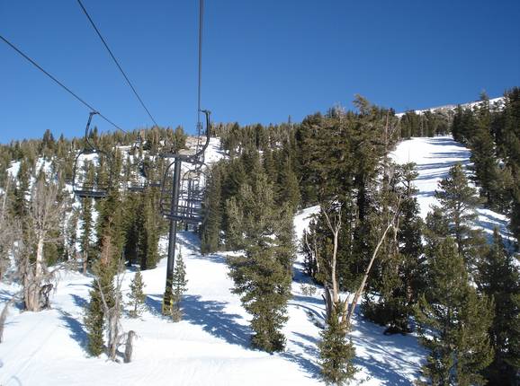 Chair 13