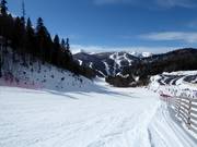 Piste n° 2 Kolašin 1600