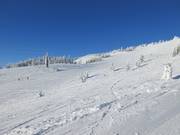 Descente Fall Line au téléski West Bowl