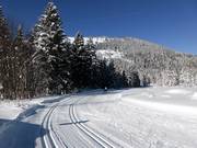 La piste de ski de fond longe le col