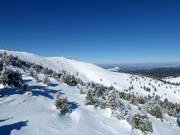 Vue depuis le télésiège 6 places Krčmar vers le Pančićev vrh