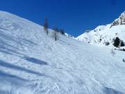 Domaine freeride au Zweitausender