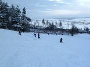 Bien adapté aux débutants