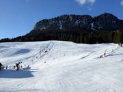 Pistes au Grafenwiesenlift
