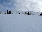 Piste facile au téléski Aurinkosompa