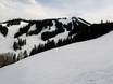 Aspen Snowmass: Taille des domaines skiables – Taille Aspen Mountain
