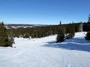 Piste facile Fjell