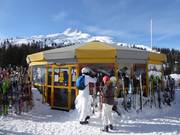 Bar Schirm Grubigalm