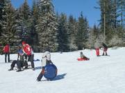 Du plaisir pour toute la famille sur la piste de luge