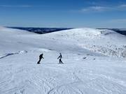 De larges pistes commencent au sommet