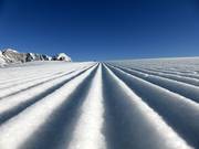 Traces dans la neige