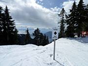 Glades - pistes forestières dégagées pour skieurs expérimentés