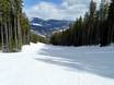 Diversité des pistes Chaîne Purcell – Diversité des pistes Kimberley