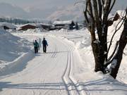 Pistes de ski de fond dans la vallée de Pillersee