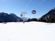 Piste facile Campo Scuola Latemar à Pampeago