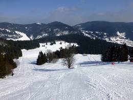Domaine skiable Menzenschwand (St. Blasien) – Spießhorn