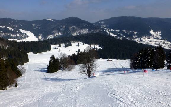 Le plus grand dénivelé dans l' arrondissement de Waldshut – domaine skiable Menzenschwand (St. Blasien) – Spießhorn